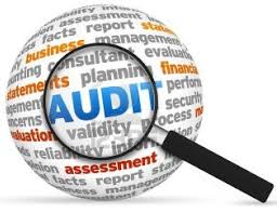 12 Objectives of Audit to your Business