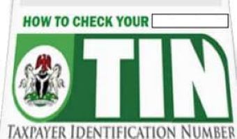 How to Check TIN Online