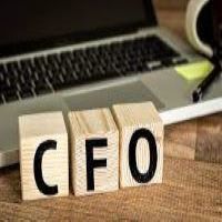 Outsourced  CFO