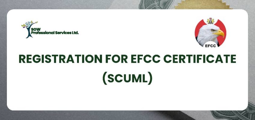 PHOTO 2025 10 29 13 37 08